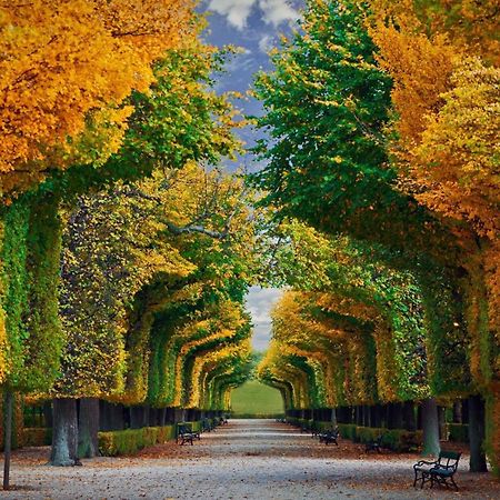 Comfortable Romantic 1 Bedroom Apartment Near Augarten ウィーン エクステリア 写真